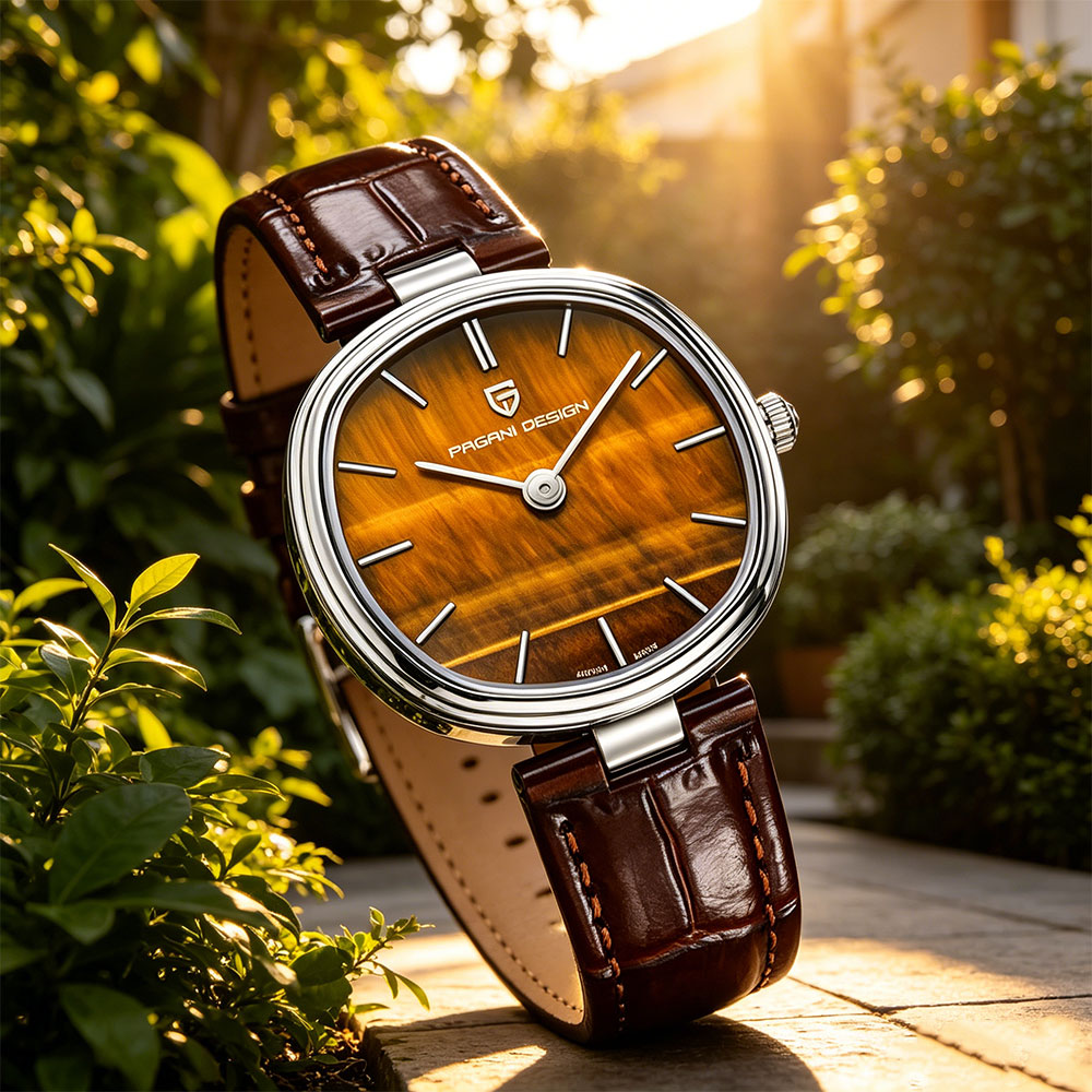PAGANI DESIGN 2026 Neue Quarzu – Anti-Magnetic Watch Bewertung und Preis