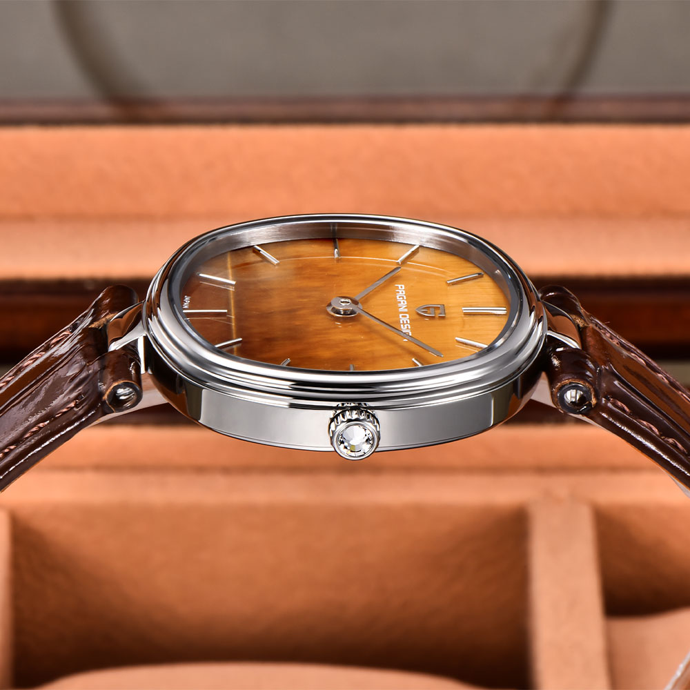PAGANI DESIGN 2026 Neue Quarzu – Anti-Magnetic Watch Bewertung und Preis