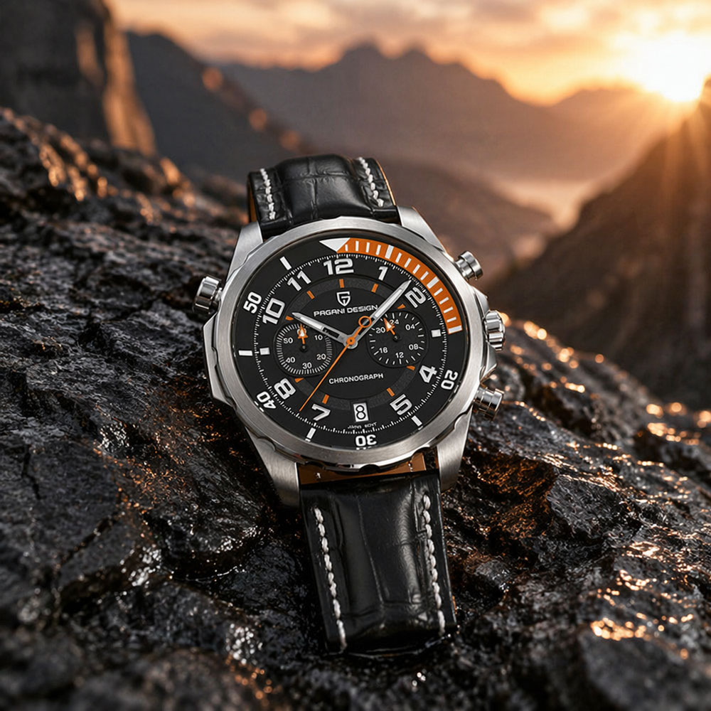 PAGANI DESIGN Klassische Leder – Anti-Magnetic Watch Bewertung und Preis